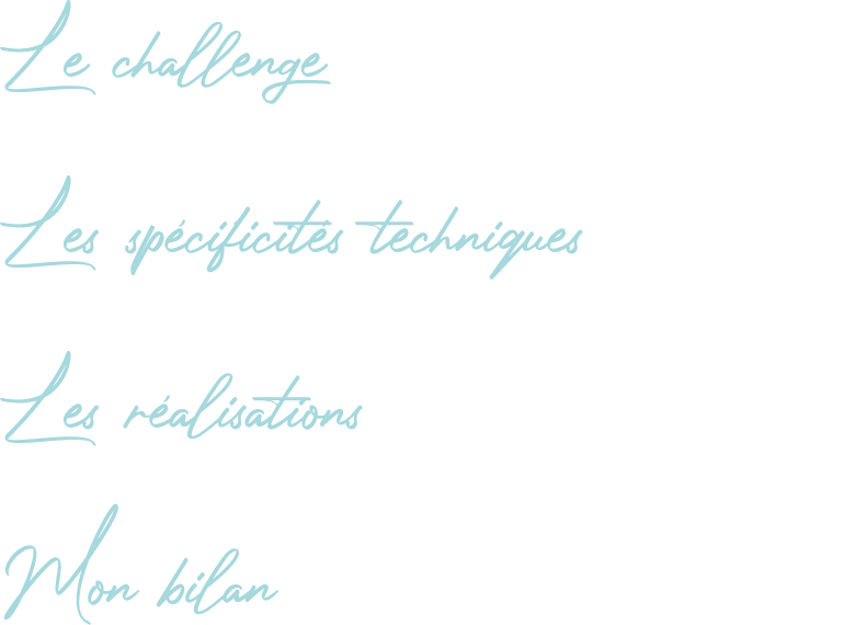 Le challenge Les spécificités techniques Les réalisations Mon bilan